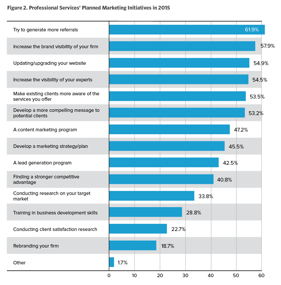 Professional Services' Planned Marketing Initiatives in 2015